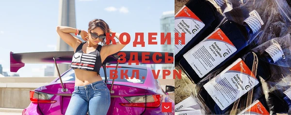 apvp Бородино