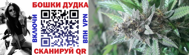 Конопля семена  Надым 
